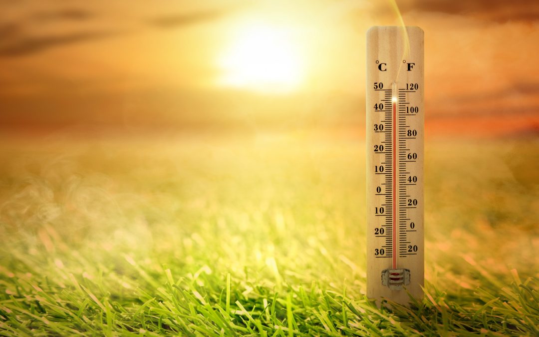 Witnessing Climate Whiplash