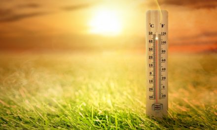 Witnessing Climate Whiplash