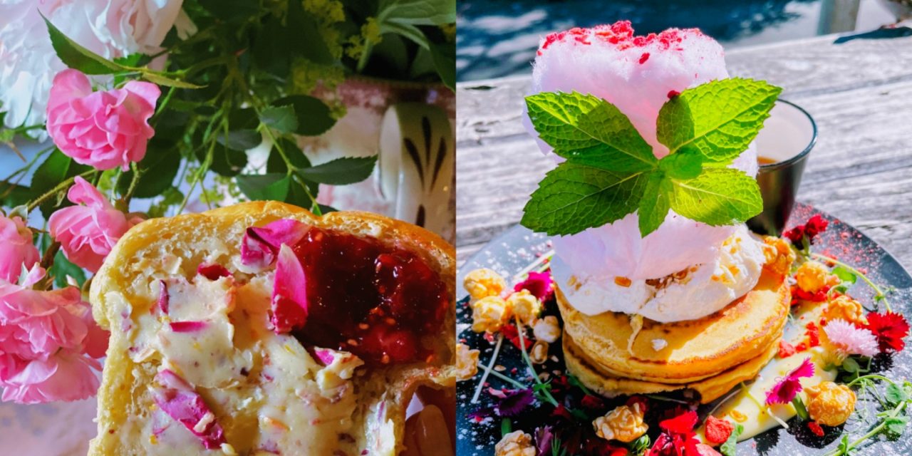 A Culinary Journey Around the Globe: Discover Vegetarian Dishes, Indigenous Traditions & Food Sustainability