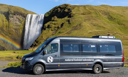 4 Ways to Explore Iceland’s Natural Wonders