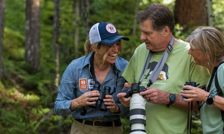 5 Reasons to Develop a Daily Photo Habit