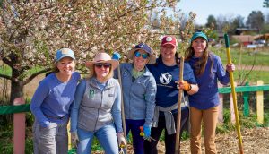 Nat Hab Staff volunteering at Growing Gardens in Boulder, CO