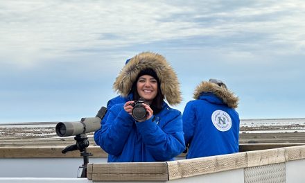 Polar Bear Scholarship Winners Bring Conservation Lessons to the Classroom