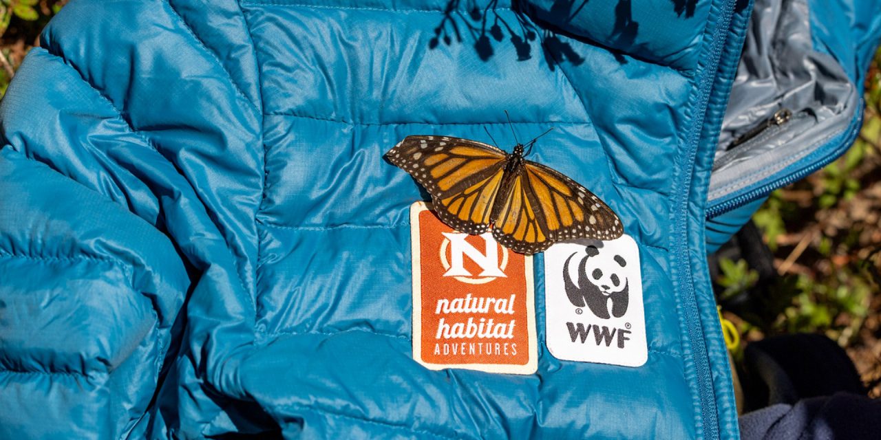 Nat Hab’s 2025 Sustainability Report