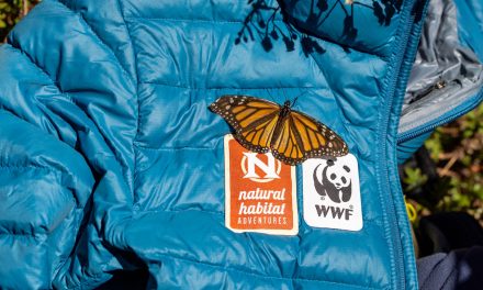 Nat Hab’s 2025 Sustainability Report