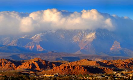 The State of Life on Earth and a Big Belief in Science