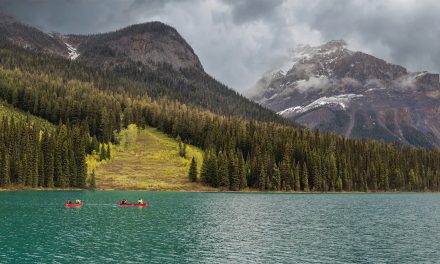 Paddling Where Raindrops Reach The Sea: Kayaking in British Columbia
