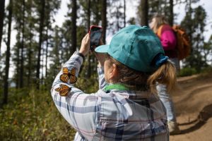 Monarch butterflies on Nat Hab guest by Court Whelan