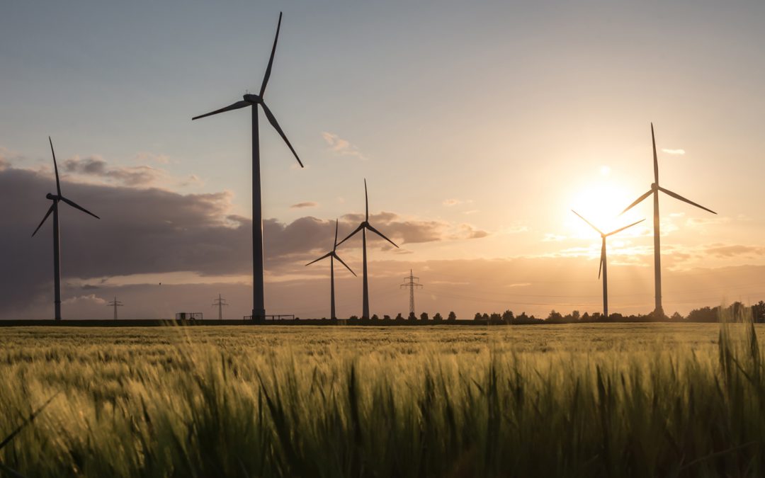 Earth Day 2025: Renewable Energy