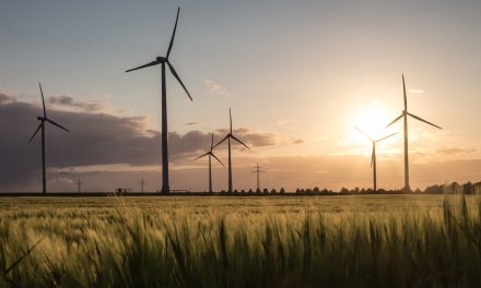 Earth Day 2025: Renewable Energy