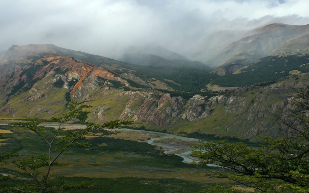 Getting Down to the Bones in Patagonia: A Photo Diary