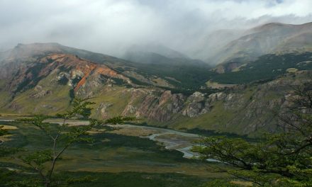 Getting Down to the Bones in Patagonia: A Photo Diary