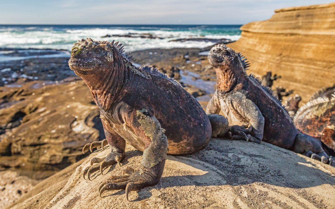 Science Storytelling