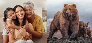 AdobeStock (Created by Candice Gaukel Andrews)