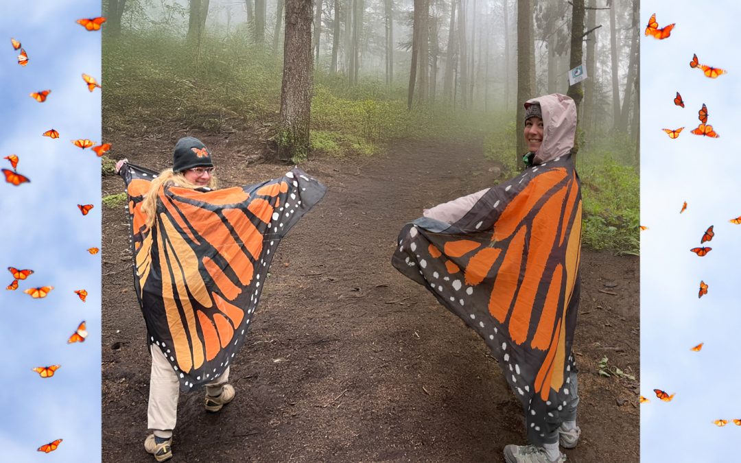 Among the Butterflies: Reflections from Our Monarch Scholarship Winners