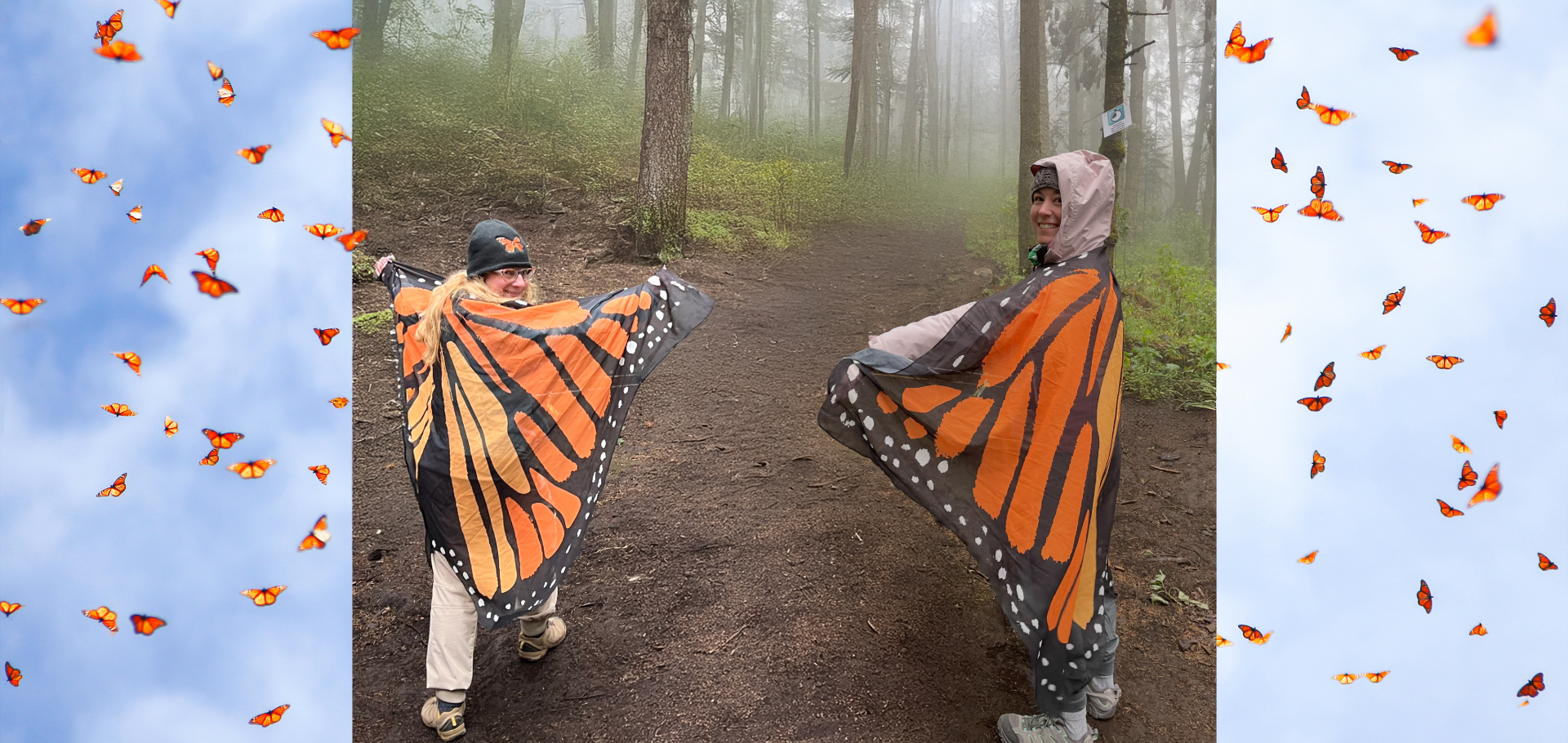 Women teachers monarch butterflies mexico conservation science migration