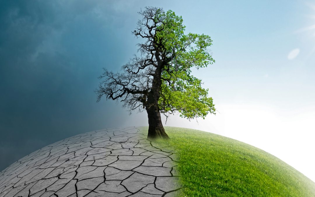 5 Measures to Ease Environmental Pressures