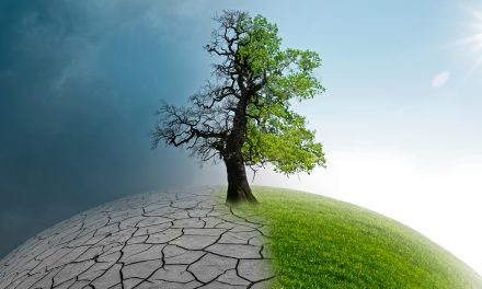 5 Measures to Ease Environmental Pressures