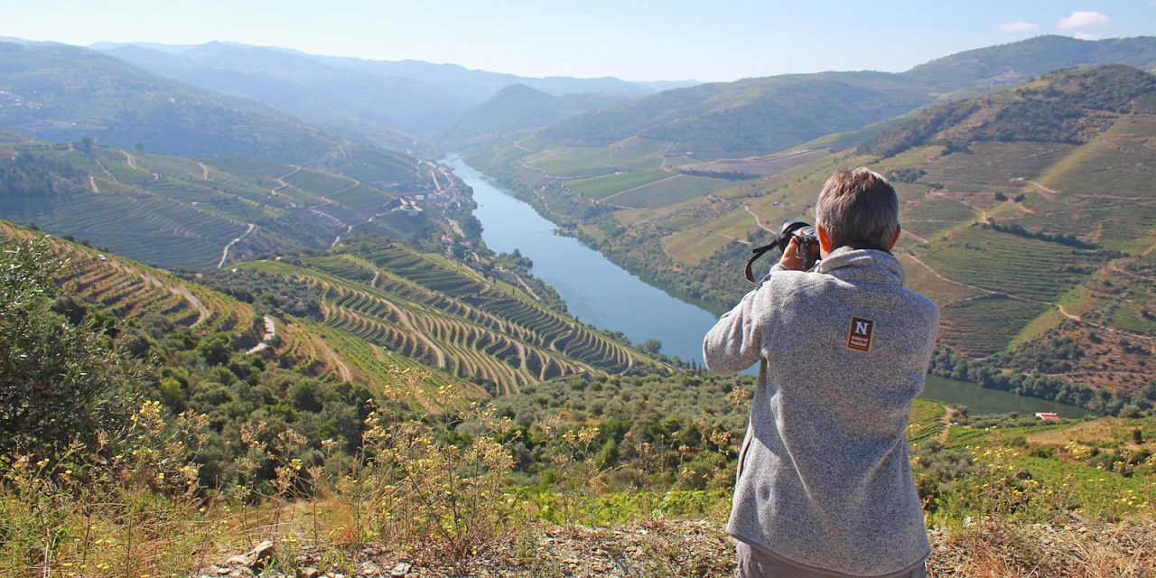 Travel Through Portugal’s Douro Valley: Raptors, Wine & Wild Places