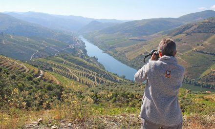 Travel Through Portugal’s Douro Valley: Raptors, Wine & Wild Places
