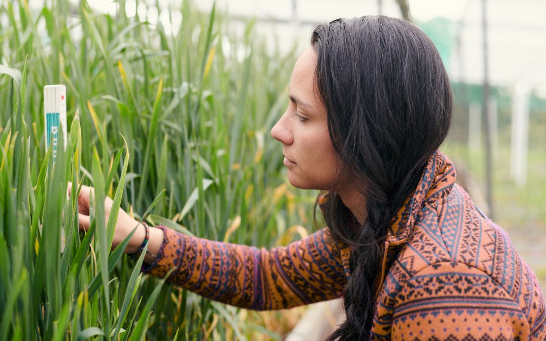 Ethnobiology: Conservation Comes of Age