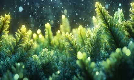 AI and VR for Nature’s Future