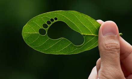 Our Impacts on the Natural World