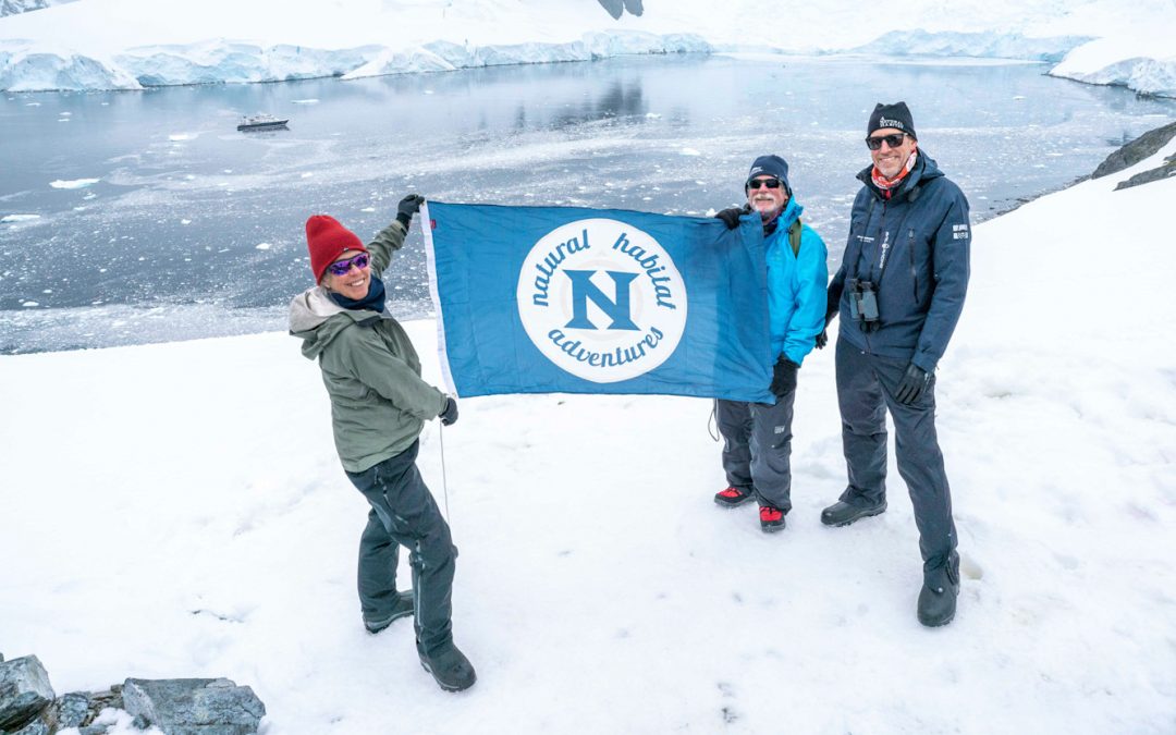 How to Choose the Best Antarctica Trip for You