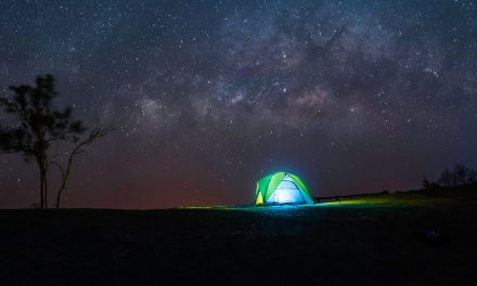 Circadian Rhythms, Saving Hours and Time Travels