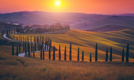 Savoring Tuscany’s Seasons and Sagre Festivals