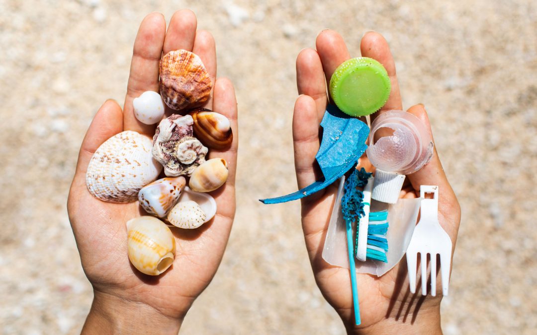 A Taste for Waste: Plastic Eaters