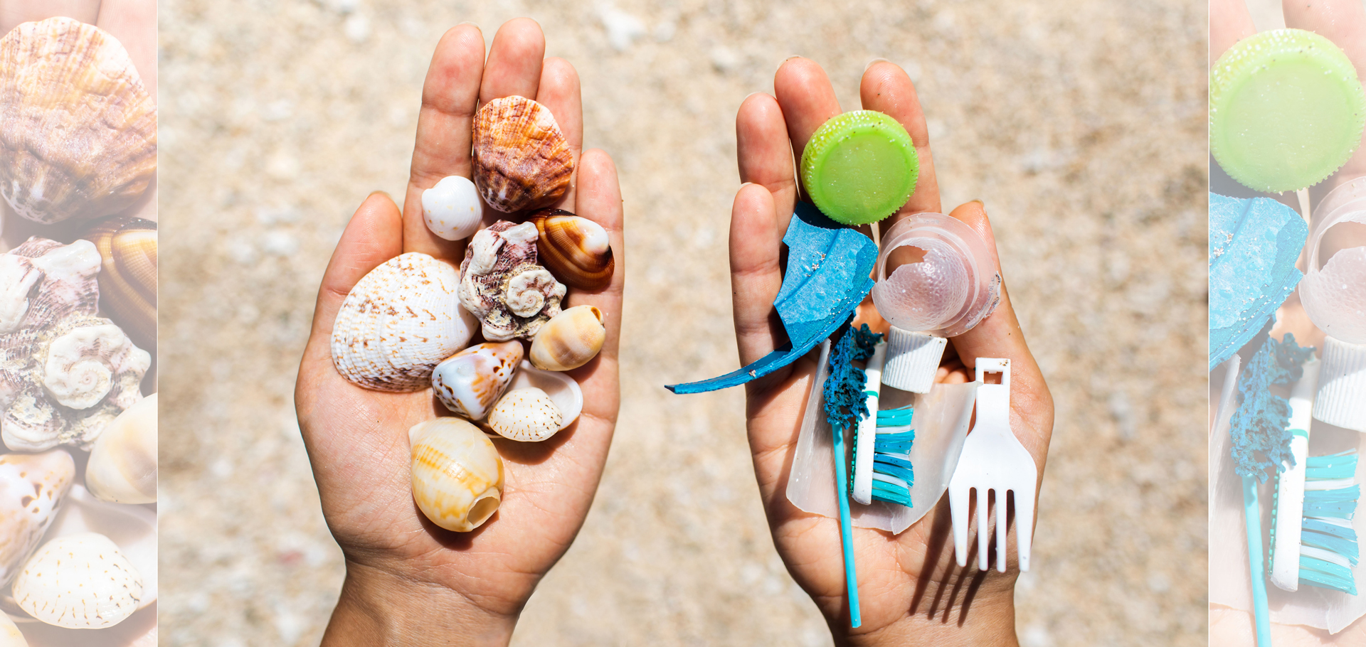 AdobeStock (Created by Candice Gaukel Andrews)