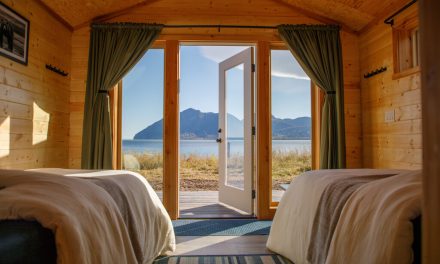 Alaska Bear Camp: Comfort Comes to the Bear Coast in 2026