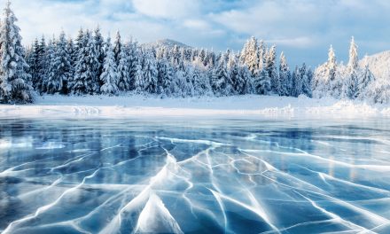 Snow: Why We Need It and How We’re Losing It