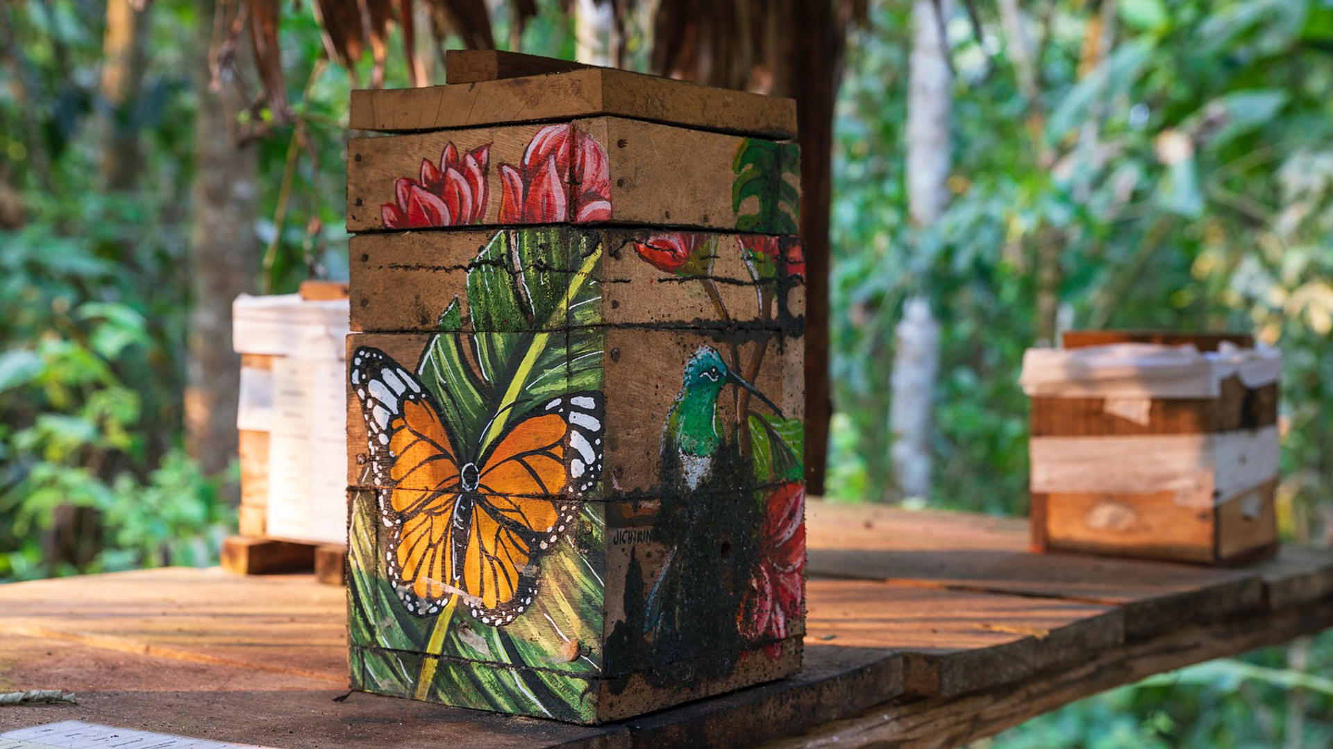 bee hive project in Peru