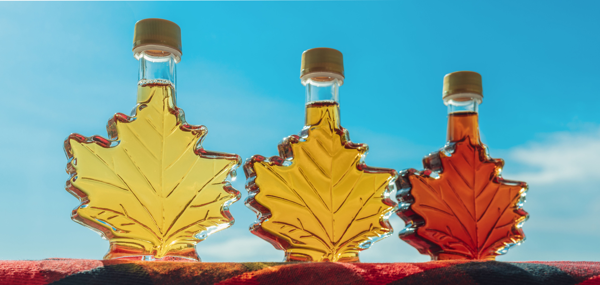 AdobeStock
