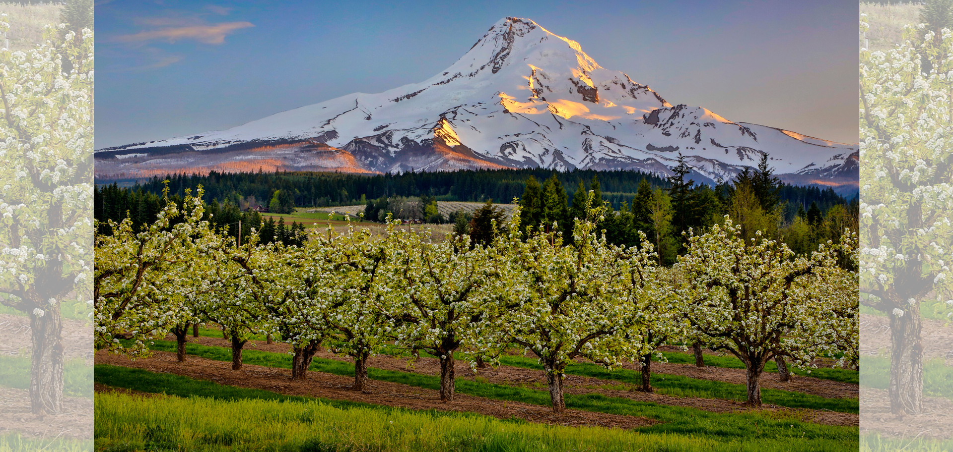 AdobeStock (Created by Candice Gaukel Andrews)