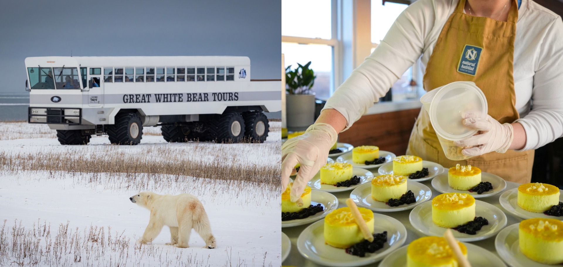 expedition cooking, arctic, subarctic, canada, polar bears, lodge, chef, luxury, travel