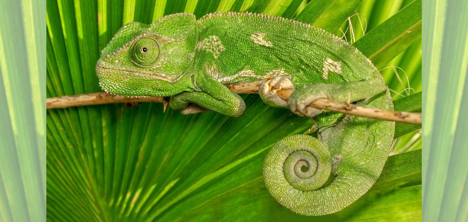 AdobeStock