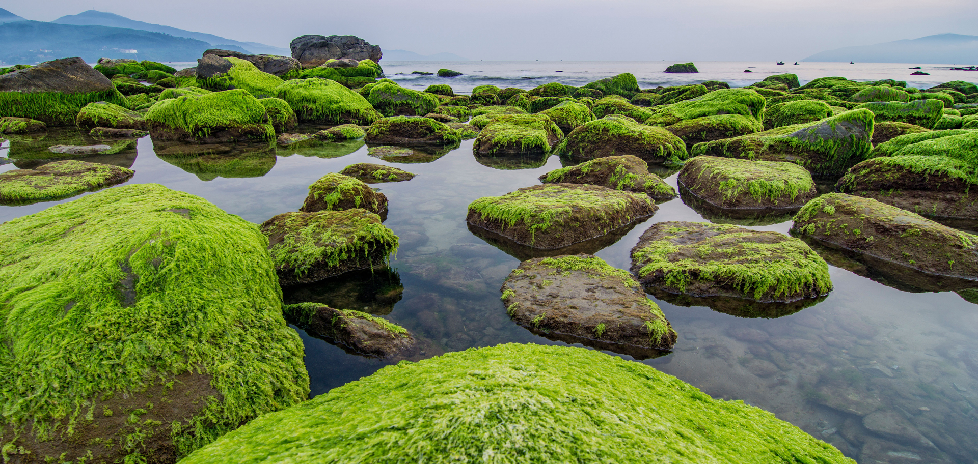 AdobeStock