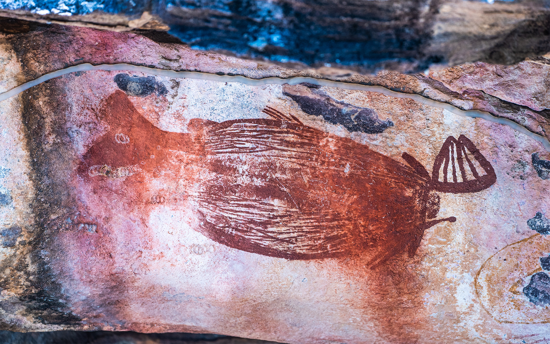 The Red Mullet Rock at the Ubirr rock art site (Kakadu national park, Northern Territory, Australia)