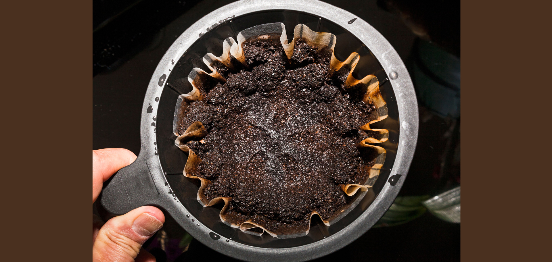 AdobeStock (Created by Candice Gaukel Andrews)