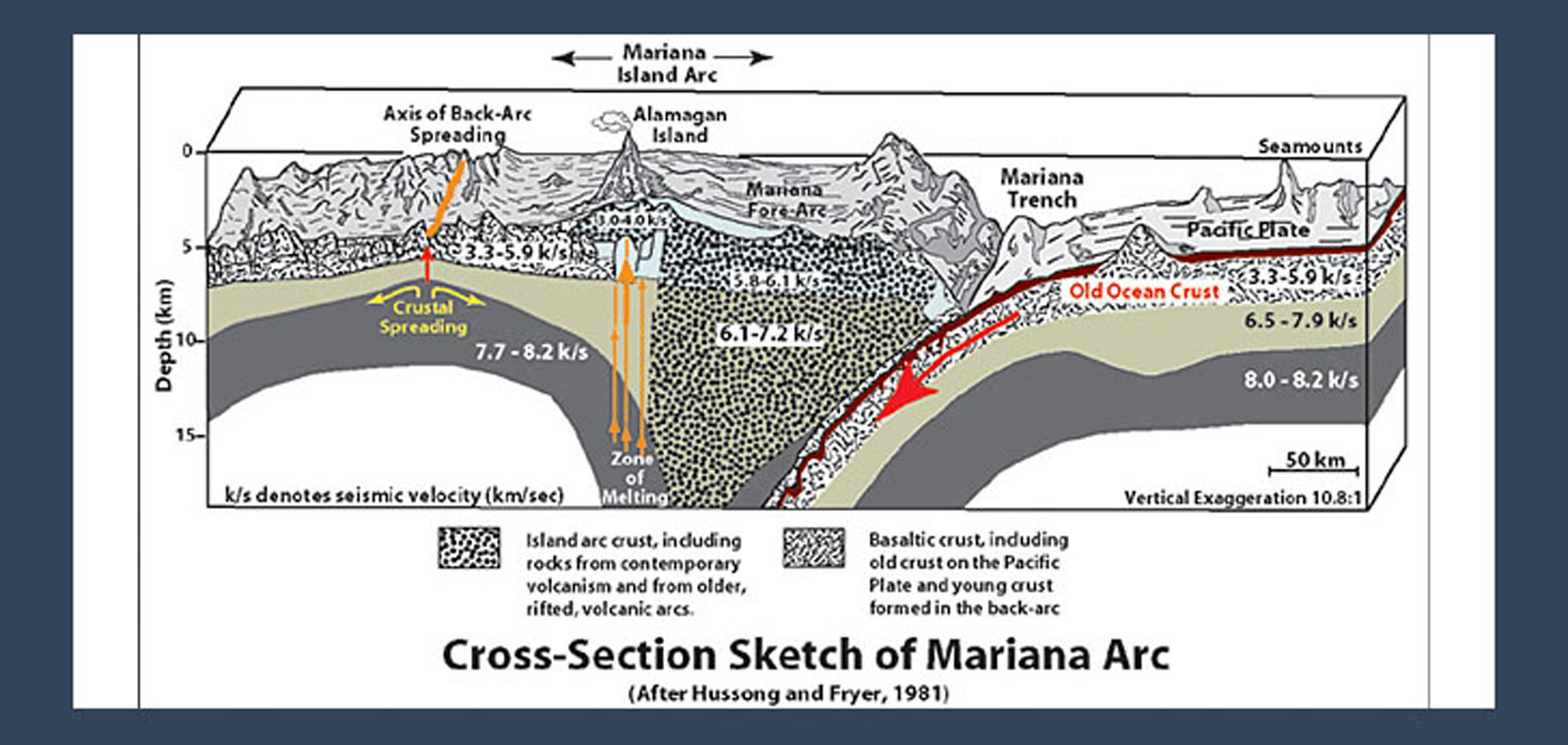 AdobeStock (Created by Candice Gaukel Andrews)