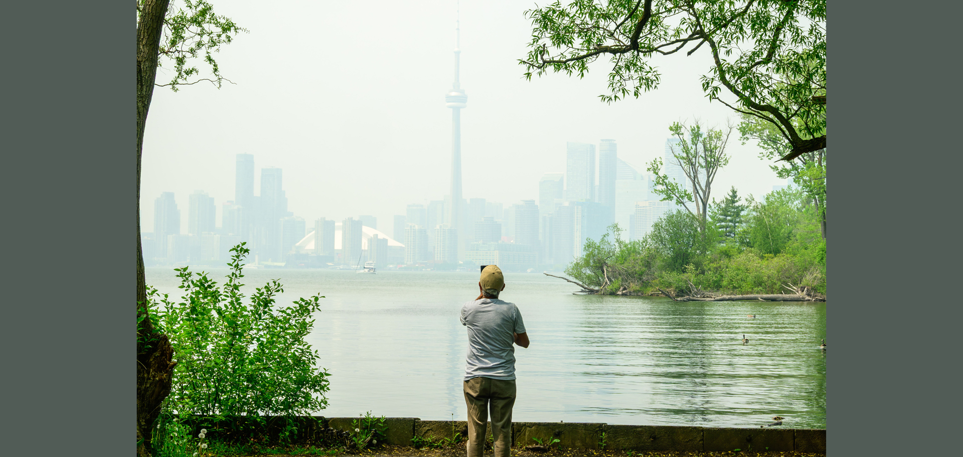 AdobeStock (Created by Candice Gaukel Andrews)