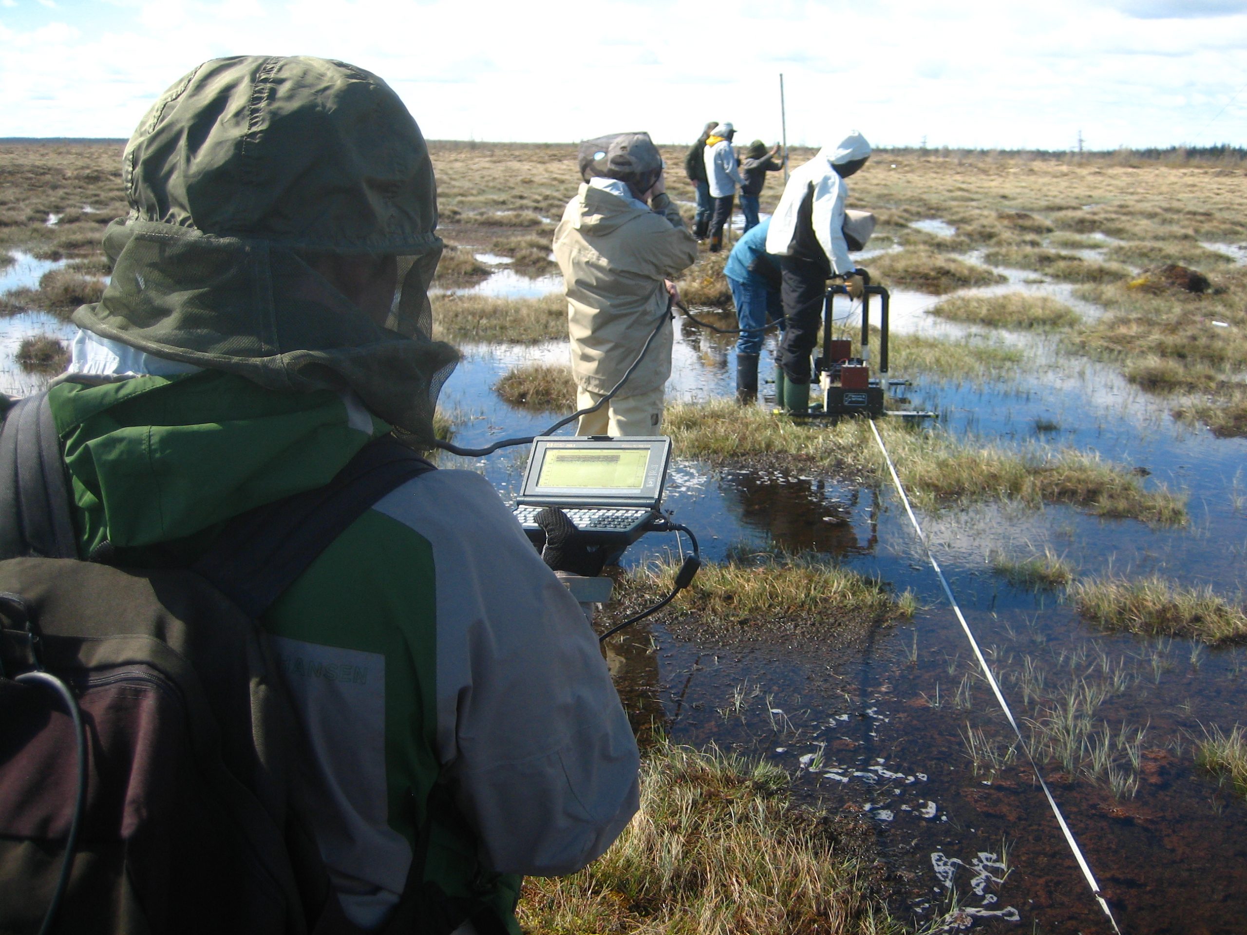 Volunteers conducting fieldwork (credit Mark Harper)