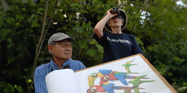 Volunteers conducting a bird survey with binoculars and a macaw field guide in the Amazon rainforest.