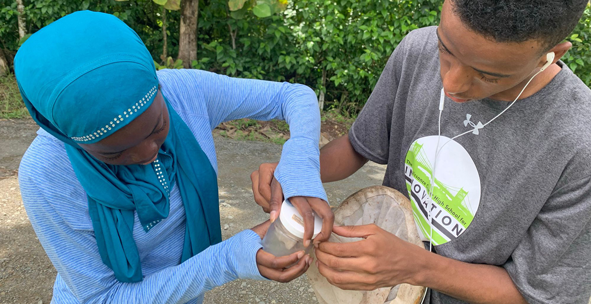 Help pollinator scientists around the world collect critical data