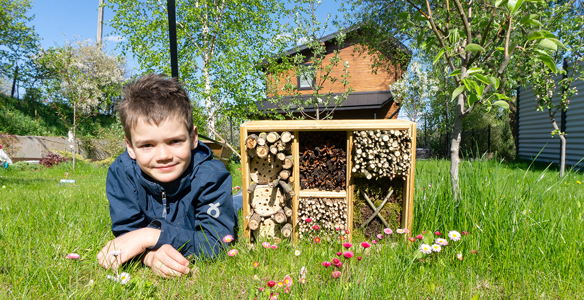 Become a bee innkeeper