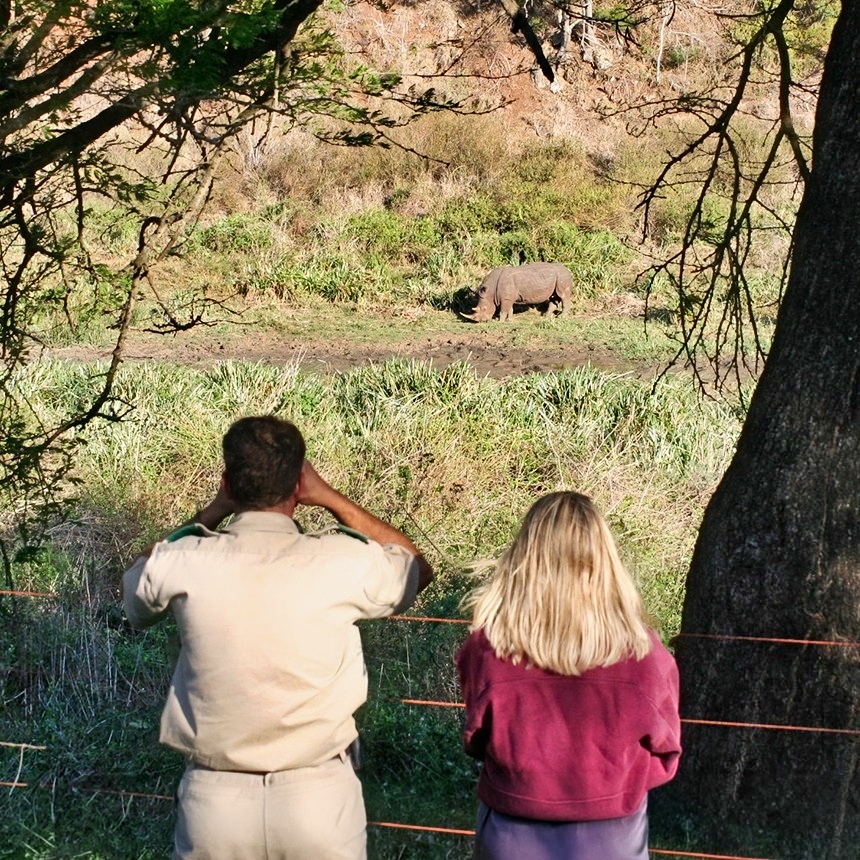 Earthwatch participant and local guide observing a rhinoceros in its natural habitat during a conservation field experience