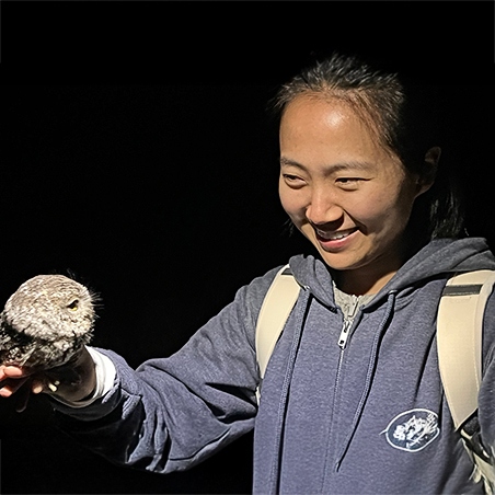 Participant holding a Whiskered Screech Owl before releasing it after taking measurements